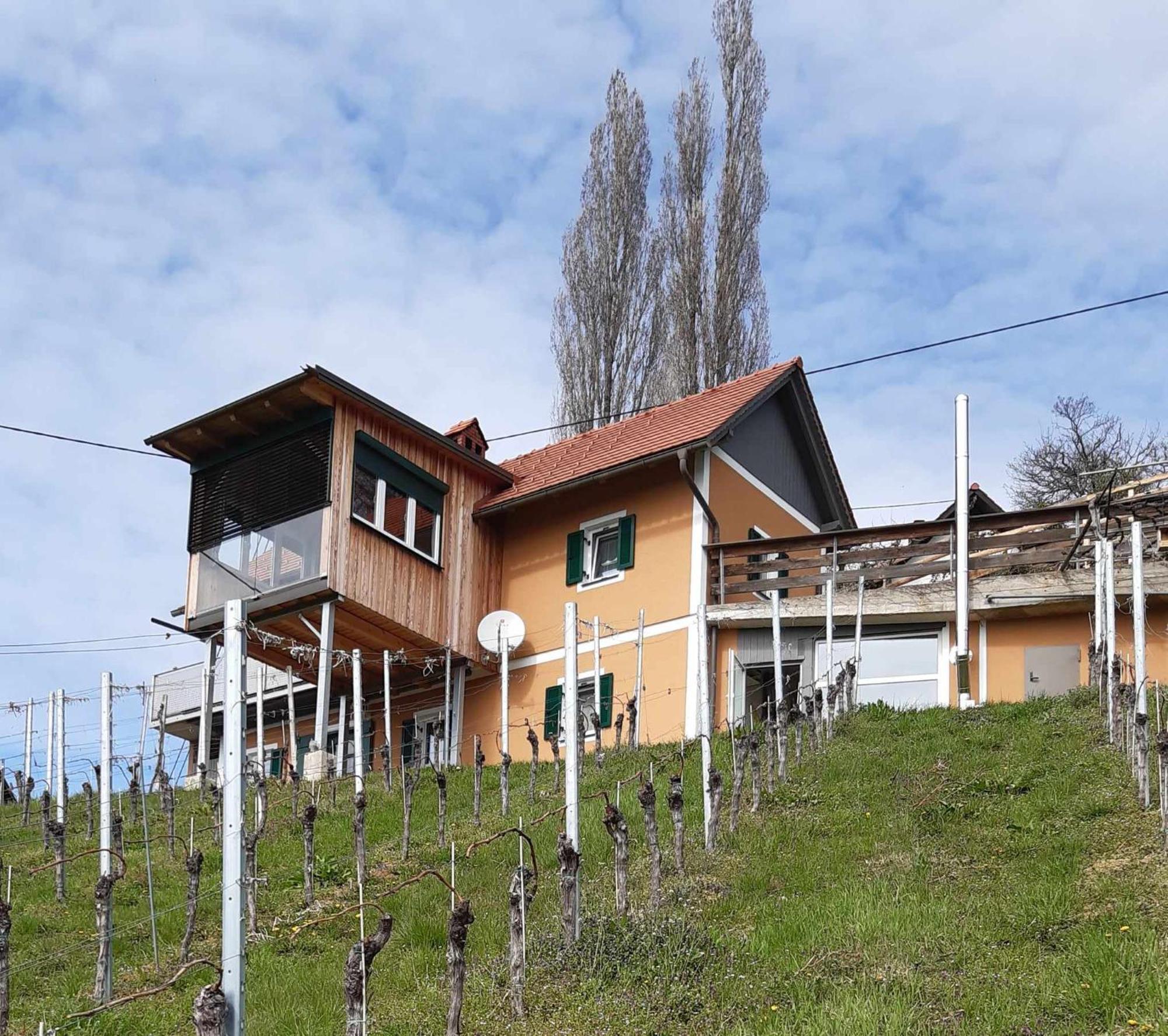 Ferienhaus Urschitz Eichberg Exterior photo
